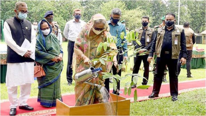 প্রধানমন্ত্রী তিনটি করে গাছ লাগানোর আহ্বান